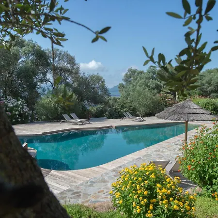 Piatana Olmeto (Corsica)