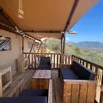 Orman Evi Piatana Olmeto (Corsica)