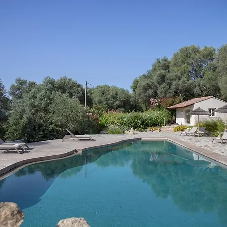 Piatana Olmeto (Corsica)