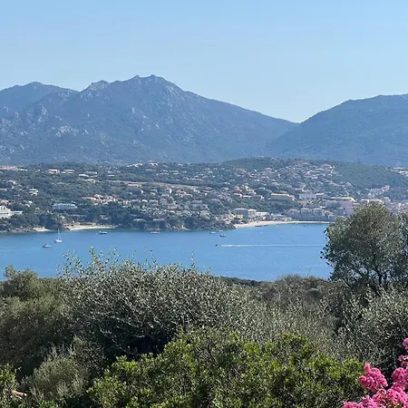 Lodge Piatana Olmeto (Corsica)