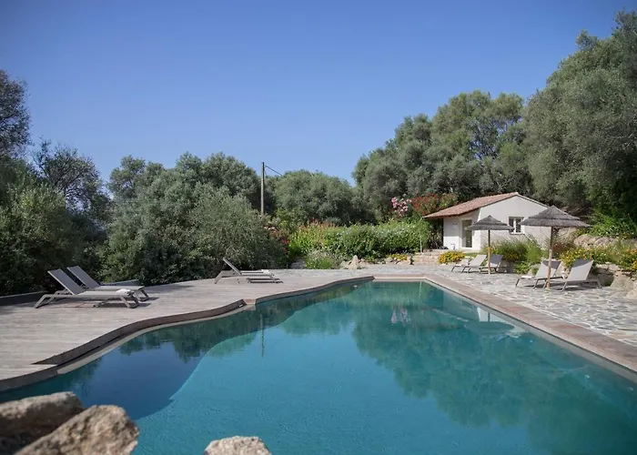 Piatana אולמטו